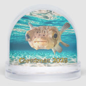 Grappige kogelvis Waarschuwing: kan puffen onder d Sneeuwbol (Voorkant)