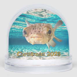 Grappige kogelvis Waarschuwing: kan puffen onder d Sneeuwbol