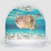 Grappige kogelvis Waarschuwing: kan puffen onder d Sneeuwbol (Achterkant)