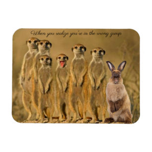 Grappige Konijn Meerkat Magnet Magneet