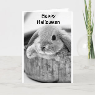 GRAPPIGE KONIJN ZEGT **GELUKKIG HALLOWEEN** FEESTDAGEN KAART