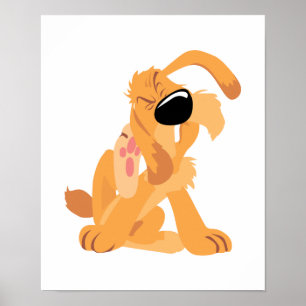 grappige krashond poster