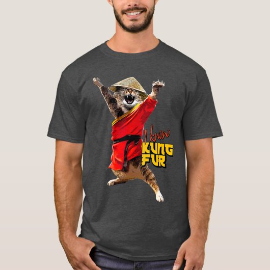 Grappige Kung Fu Cat voor vechtsporten Fan I Know T-shirt (Voorkant)