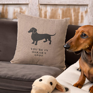 Grappige kussen markeert Dachshund's Spot op de ba