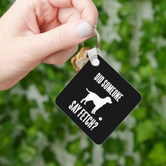 Grappige Lab Er Is Gezegd Ophaal Labrador Retrieve Sleutelhanger