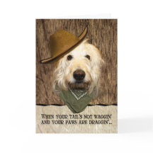 Grappige Labradoodle in Cowboy Pet Bandana Get Wel