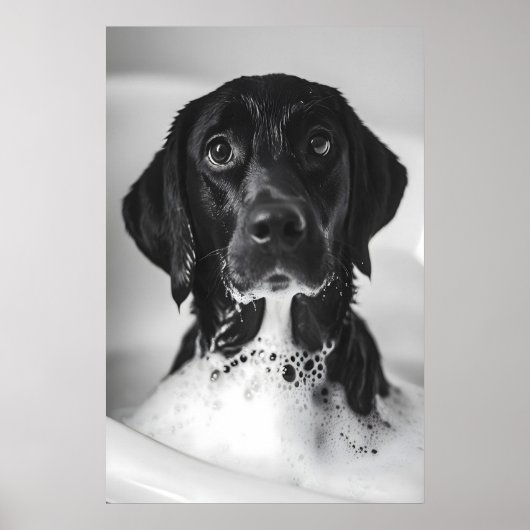 Grappige Labrador Bubbelbad Print, Grappige Badkam Poster (Voorkant)