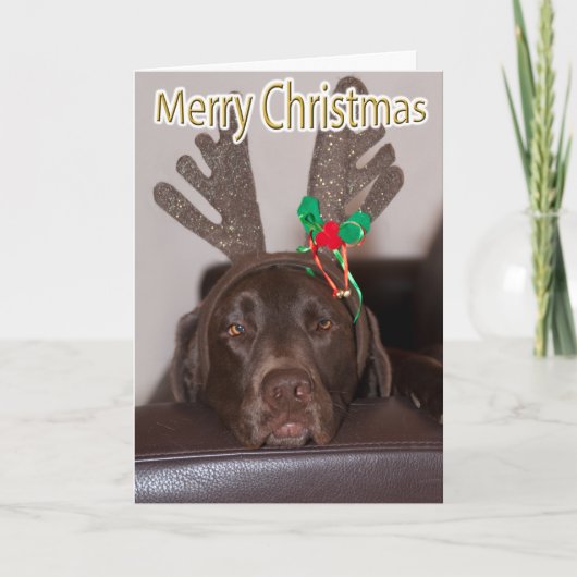 Grappige Labrador Glitter Gewei Aangepaste Tekst B Feestdagen Kaart (Voorkant)