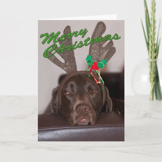 Grappige Labrador Glitter Gewei Aangepaste Tekst B Feestdagen Kaart (Voorkant)