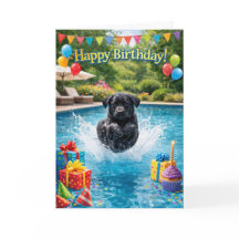 Grappige Labrador puppy zwembad plons