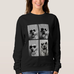 Grappige Labradorhonden met Zonnebril Cool Dieren  Trui