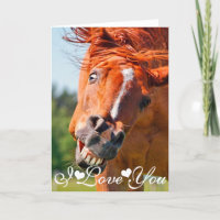 Grappige lachende paard foto Ik hou van jou