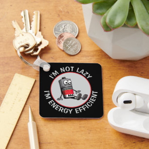 Grappige lage batterij sleutelhanger