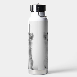 Grappige Leeuwenwelp met Toiletpapier Dierenfoto Waterfles