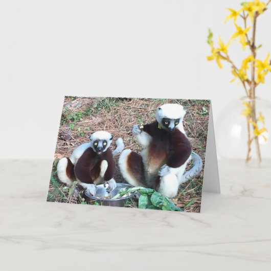 Grappige Lemur verjaardag Kaart (Gele Bloem)