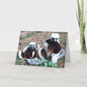 Grappige Lemur verjaardag Kaart