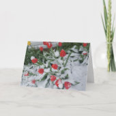 Grappige lente in Wisconsin Tulpen in de sneeuw Kaart (Voorkant)