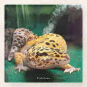 Grappige Leopard Gecko Glimlacht voor de Paparazzi Glazen Onderzetter (Voorkant)