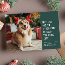 Grappige leuke huisdier foto Kerstvakantie kaart