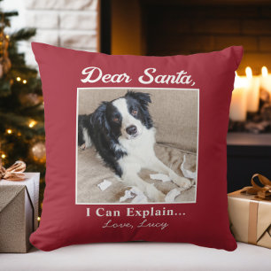 Grappige lieve kerstman huisdier hond kat kerst fo kussen