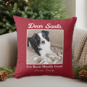 Grappige lieve kerstman huisdier hond kat kerst fo kussen