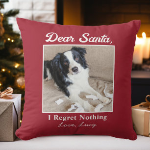 Grappige lieve kerstman huisdier hond kat kerst fo kussen
