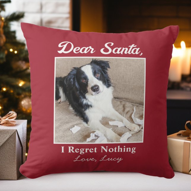 Grappige lieve kerstman huisdier hond kat kerst fo kussen (Funny Dear Santa Pet Dog Cat Christmas Photo Throw Pillow)