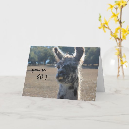 Grappige Llama verjaardag, 60e, Over de heuvel Kaart (Gele Bloem)