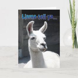 Grappige Llama Verjaardagskaart Kaart