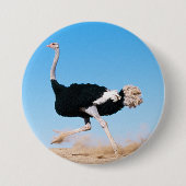 Grappige lopende struisvogel foto pin-back ronde button 7,6 cm (Voorkant)