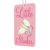 Grappige luchtverfrisser voor katten (Links)