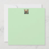 Grappige luiaard met zonnebril in een hangmat (Achterkant)