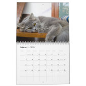 Grappige luie katten 2025 kalender (Feb 2026)