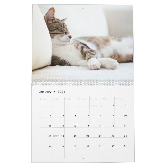 Grappige luie katten 2025 kalender (Jan 2026)