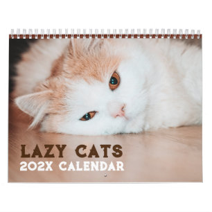 Grappige luie katten 2025 kalender