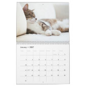 Grappige luie katten 2025 kalender (Jan 2027)