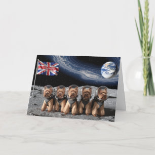 Grappige Maan Yorkies Kaart