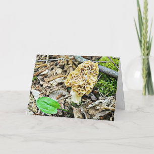 Grappige maar romantische paddenstoel Humor Ik hou Kaart