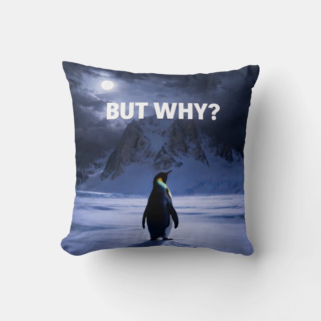 Grappige MAAR WAAROM Pinguïn Kussen (Voorkant)