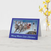 Grappige Maine Coon Rendier Kerstmis Kaart (Gele Bloem)