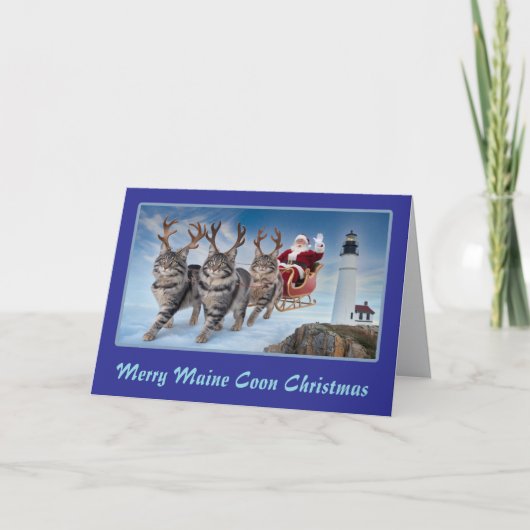 Grappige Maine Coon Rendier Kerstmis Kaart (Voorkant)