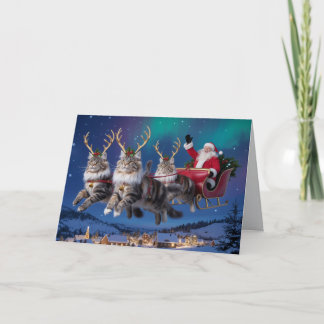 Grappige Maine Coon Rendier Kerstmis Kaart