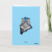 Grappige Maine Coon Rocker Kaart (Achterkant)