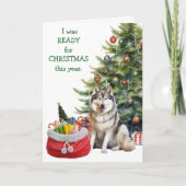 Grappige Malamute Hond Klaar voor Kerstmis Feestdagen Kaart (Voorkant)