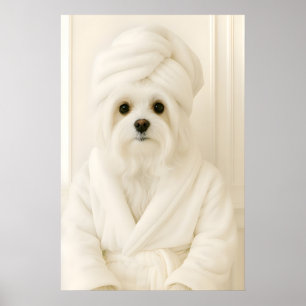Grappige Maltese badkamerprint, Maltees in badjas Poster