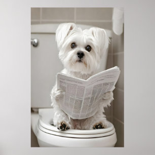 Grappige Maltese Hond Badkamer Print, Kranten Kuns Poster