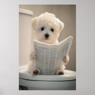 Grappige Maltese Puppy Print, Badkamer Muur Poster