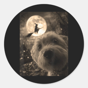 Grappige Maltese selfie volle maan vliegende heks Ronde Sticker
