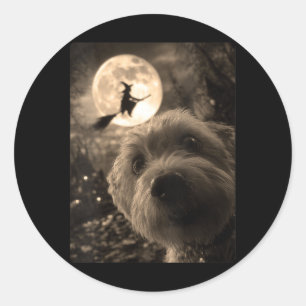 Grappige Maltese Vrouw Selfie Volle Maan Vliegende Ronde Sticker