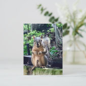 Grappige mannelijke eekhoorn fotografie dier noten briefkaart (Staand voorkant)